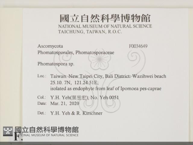 登錄號:F0034649藏品圖，第2張