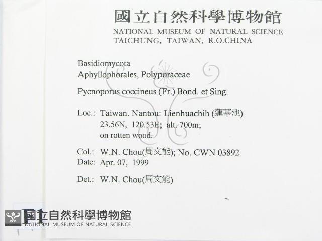 登錄號:F0012649藏品圖，第2張