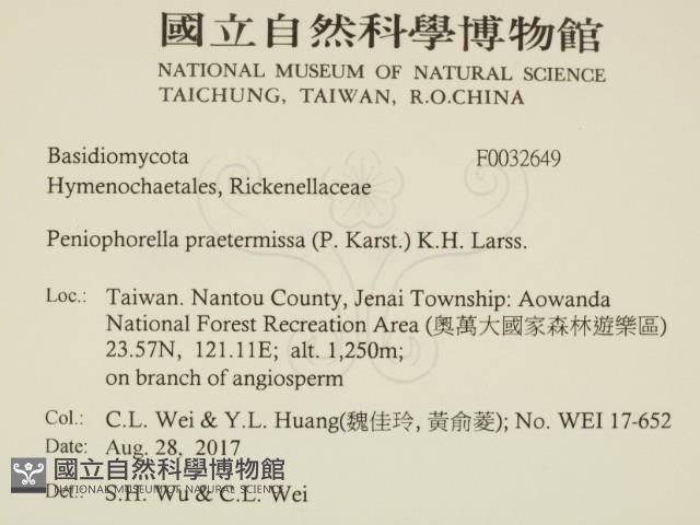 登錄號:F0032649藏品圖，第2張