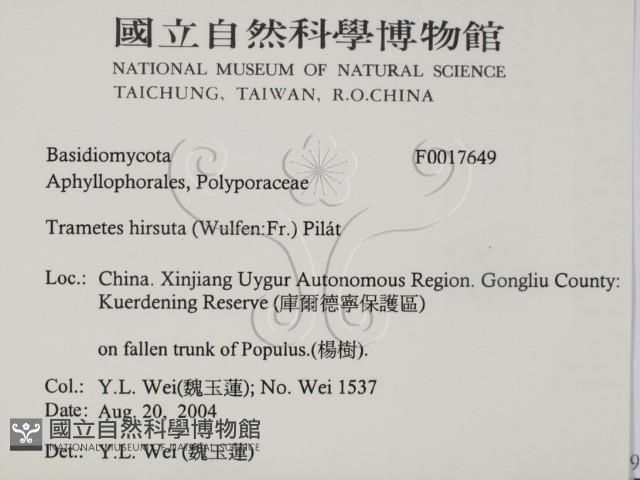 登錄號:F0017649藏品圖，第2張