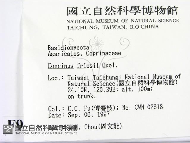 登錄號:F0009649藏品圖，第2張