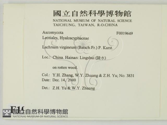 登錄號:F0019649藏品圖，第2張