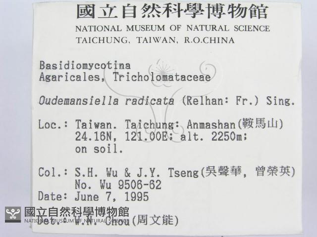 登錄號:F0003649藏品圖，第2張