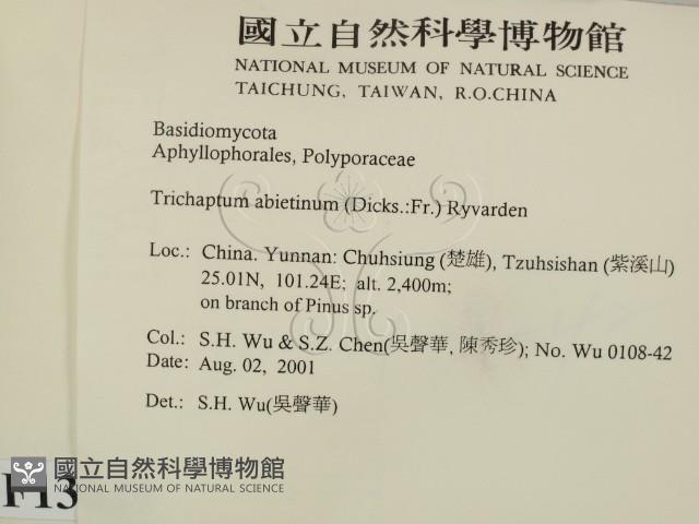 登錄號:F0013649藏品圖，第2張