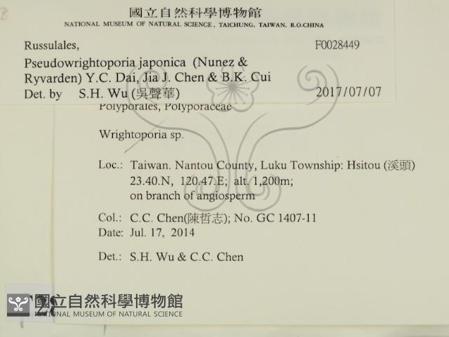 登錄號:F0028449藏品圖，第2張