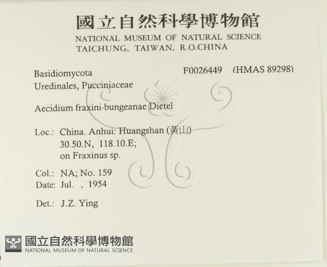 登錄號:F0026449藏品圖，第2張