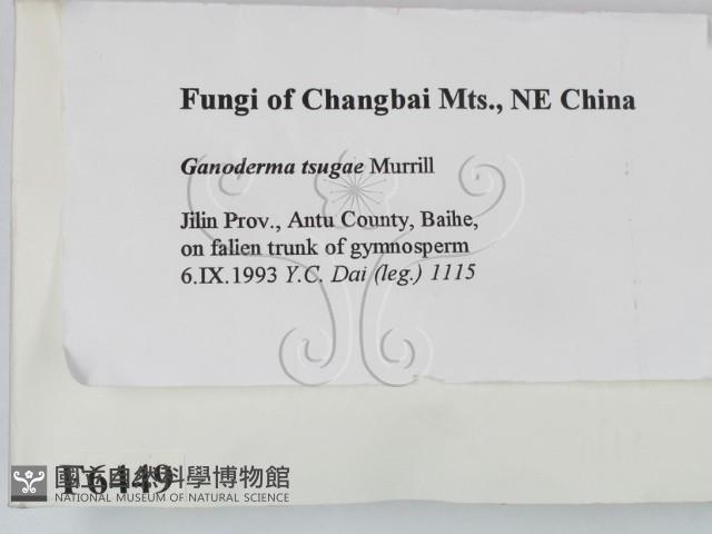 登錄號:F0006449藏品圖，第2張