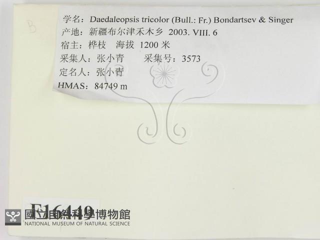 登錄號:F0016449藏品圖，第2張