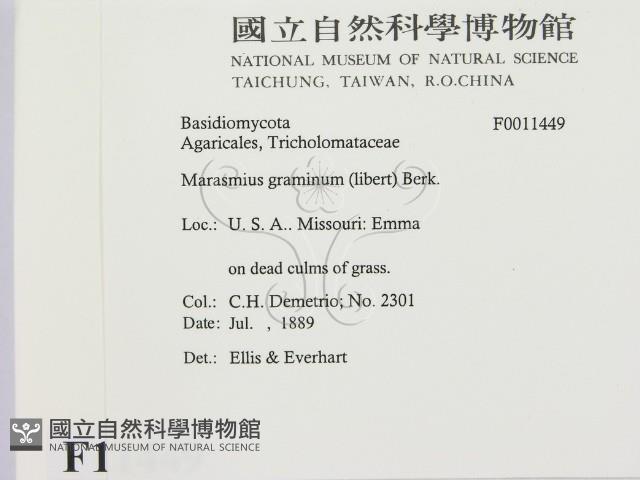 登錄號:F0011449藏品圖，第2張