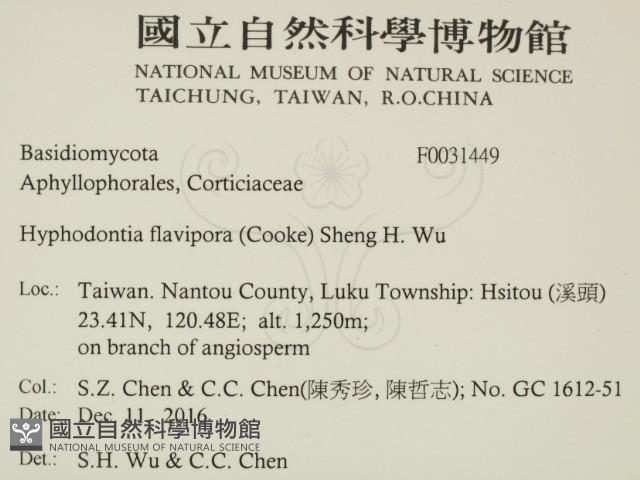 登錄號:F0031449藏品圖，第2張