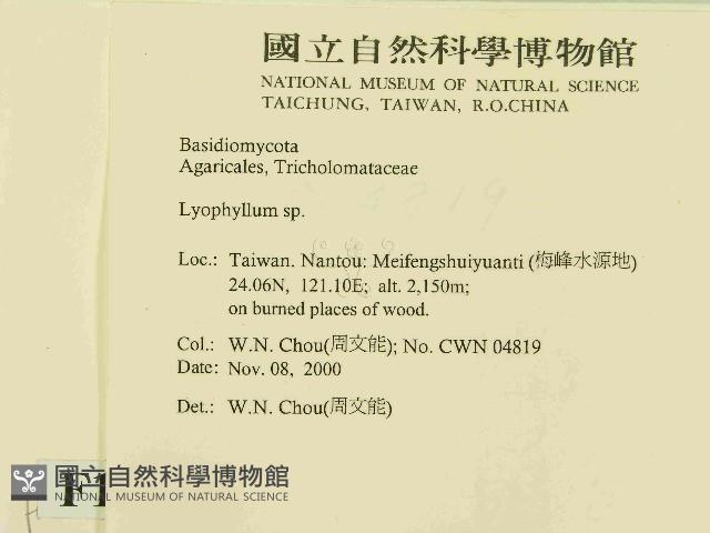 登錄號:F0014449藏品圖，第2張