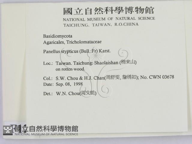 登錄號:F0012449藏品圖，第2張