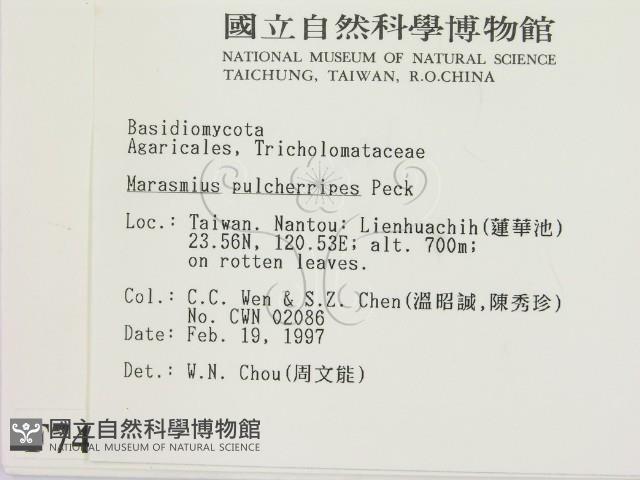 登錄號:F0007449藏品圖，第2張