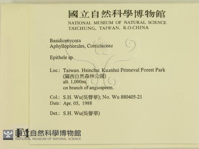 登錄號:F0015449藏品圖，第2張