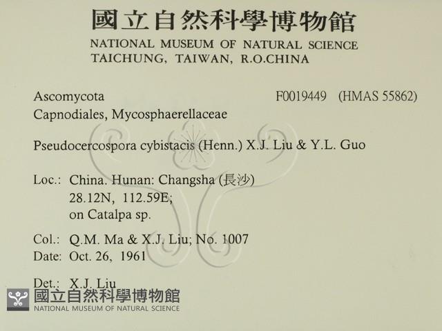 登錄號:F0019449藏品圖，第2張