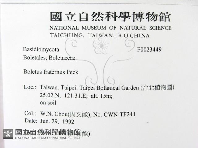 登錄號:F0023449藏品圖，第2張