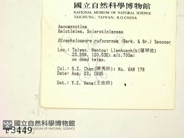 登錄號:F0003449藏品圖，第2張