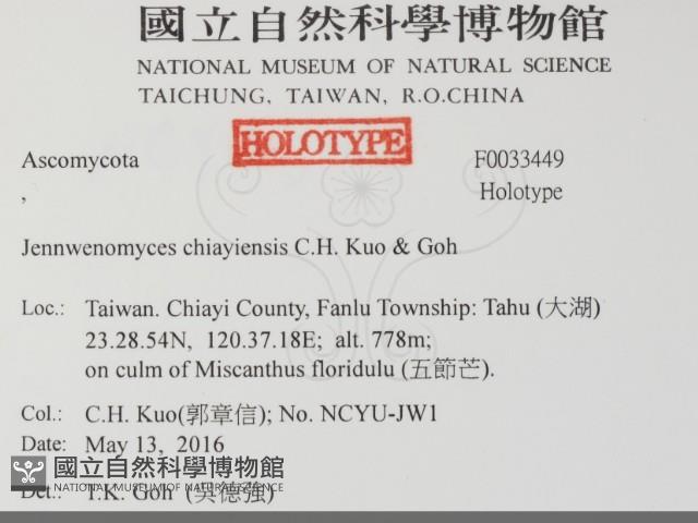 登錄號:F0033449藏品圖，第2張