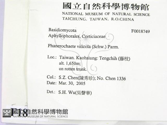 登錄號:F0018749藏品圖，第2張