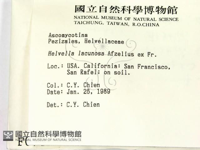 登錄號:F0000749藏品圖，第2張