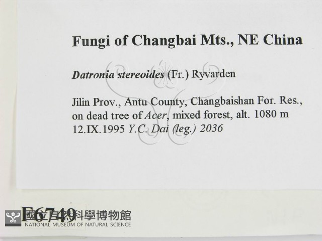 登錄號:F0006749藏品圖，第2張