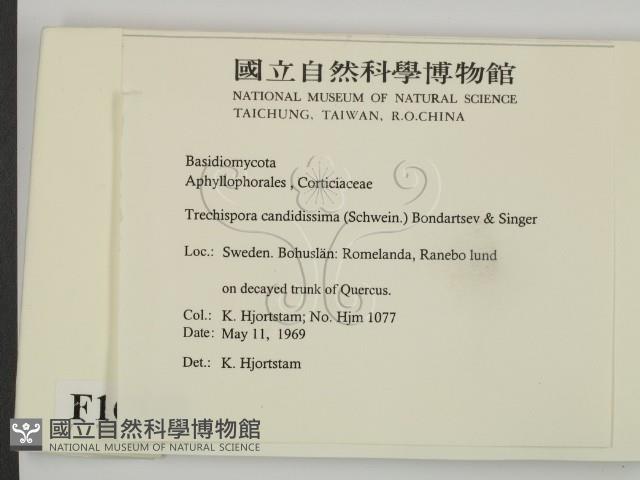 登錄號:F0016749藏品圖，第2張