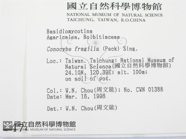 登錄號:F0004749藏品圖，第2張