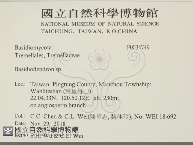 登錄號:F0034749藏品圖，第2張