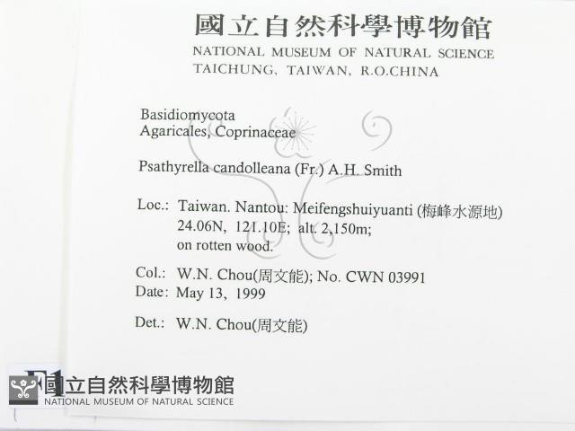 登錄號:F0012749藏品圖，第2張
