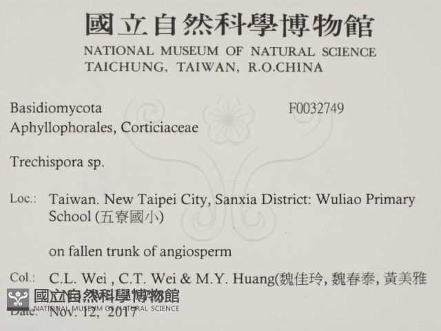 登錄號:F0032749藏品圖，第2張