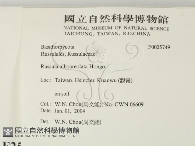 登錄號:F0025749藏品圖，第2張