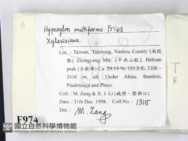 登錄號:F0009749藏品圖，第2張