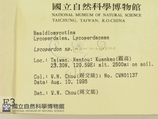 登錄號:F0003749藏品圖，第2張