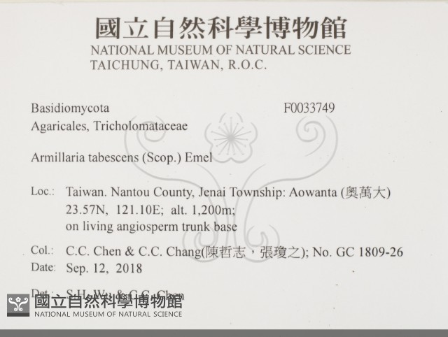 登錄號:F0033749藏品圖，第2張