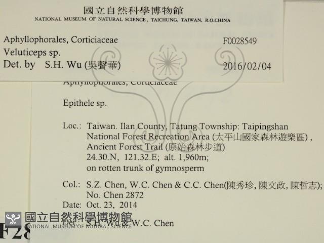 登錄號:F0028549藏品圖，第2張