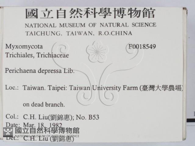 登錄號:F0018549藏品圖，第2張