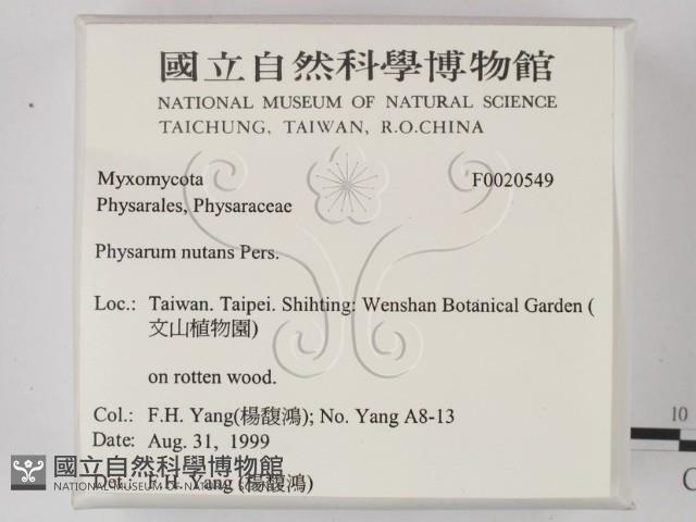 登錄號:F0020549藏品圖，第2張