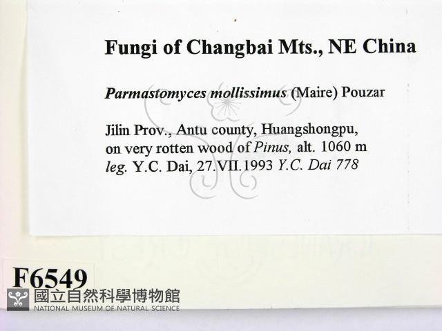 登錄號:F0006549藏品圖，第2張