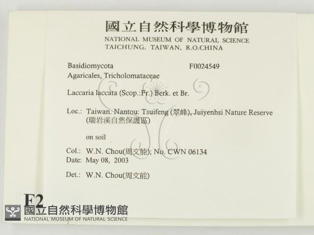 登錄號:F0024549藏品圖，第2張