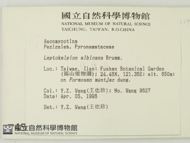 登錄號:F0004549藏品圖，第2張