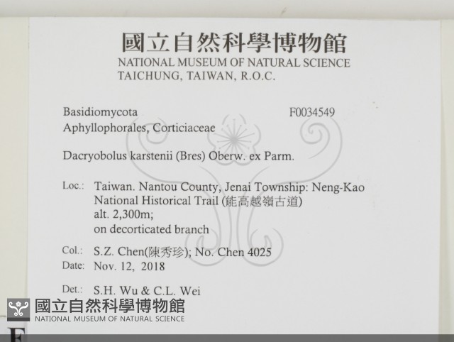 登錄號:F0034549藏品圖，第2張