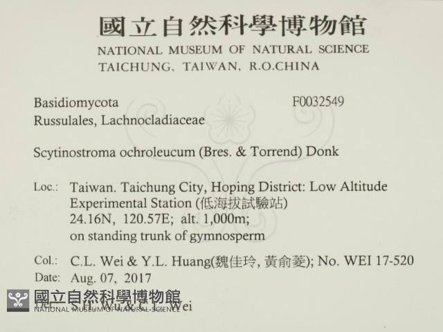 登錄號:F0032549藏品圖，第2張