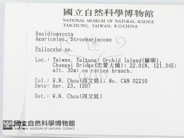 登錄號:F0007549藏品圖，第2張