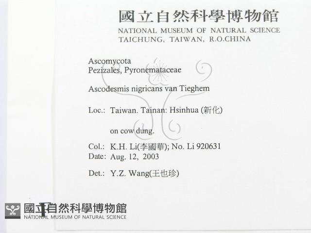 登錄號:F0015549藏品圖，第2張