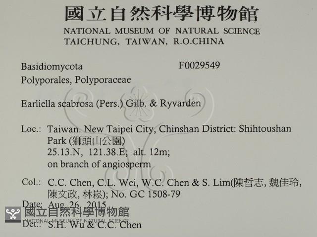 登錄號:F0029549藏品圖，第2張