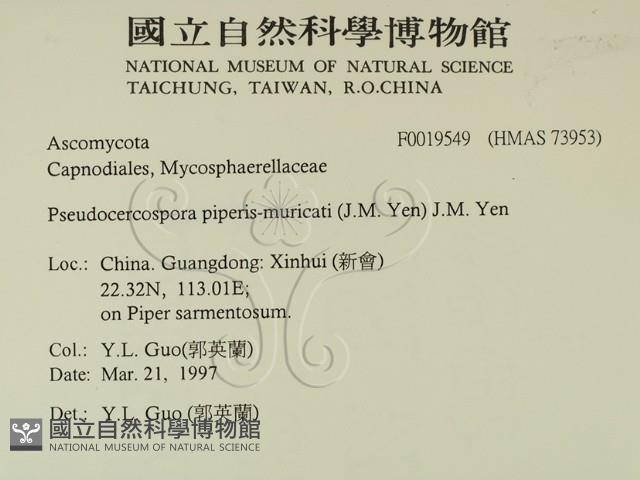 登錄號:F0019549藏品圖，第2張