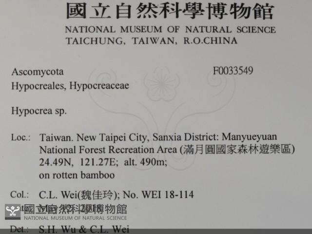 登錄號:F0033549藏品圖，第2張