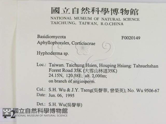 絲皮菌屬藏品圖，第2張