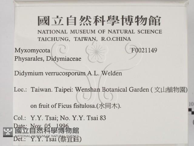 登錄號:F0021149藏品圖，第2張