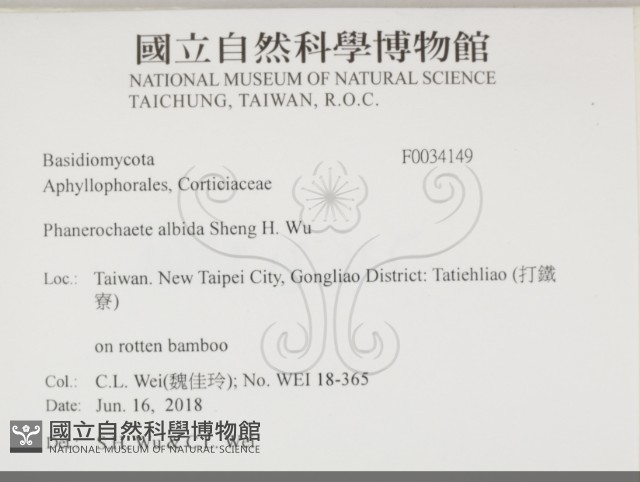 登錄號:F0034149藏品圖，第2張